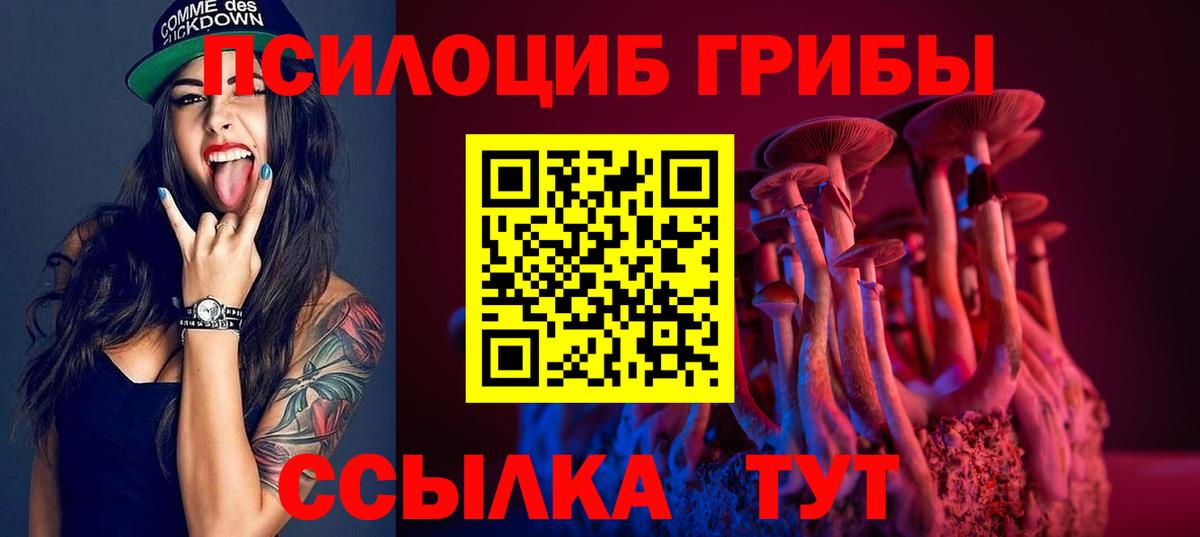 Галлюциногенные грибы прущие грибы  Вход с VPN  Дмитров 