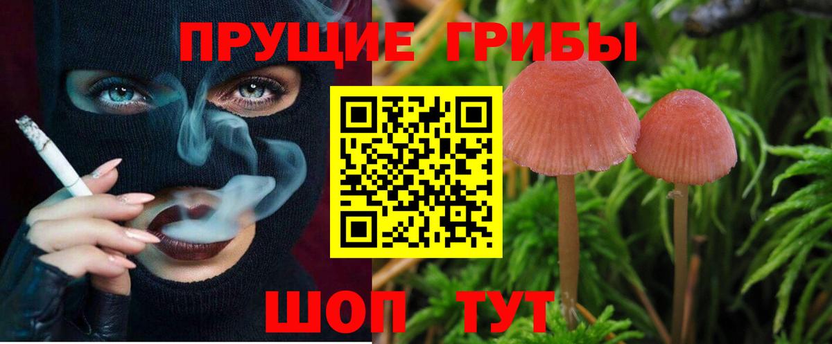 Псилоцибиновые грибы Magic Shrooms Дмитров